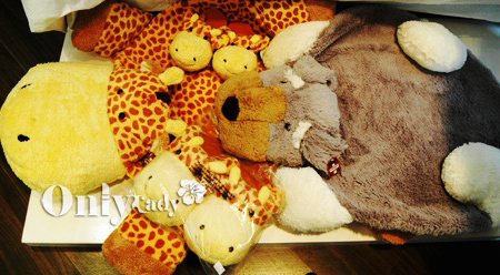 臺灣小姐的家居店為何火暴(四)