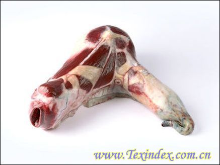 �i�����ļҾ���Ʒ�������