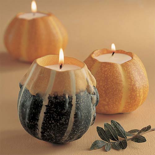 ��Ȥ����fʥ���Ɍ��Ҿ�Ʒ