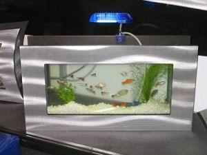 壁掛魚缸展示個性品味