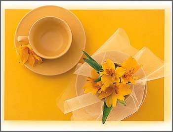 �ɐ۲;�׌С�Y�Ĵˑ��ϏN