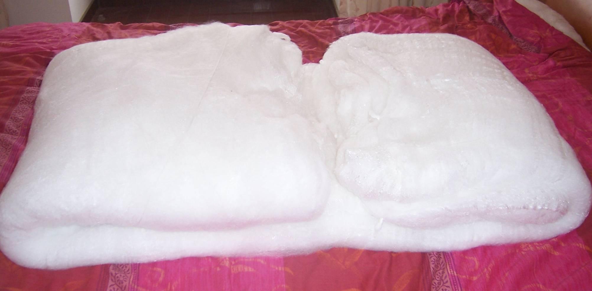 七孔被 九孔被您知多少