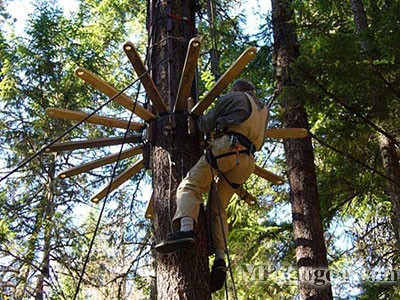 ������˼�������w�Ƅӷ���