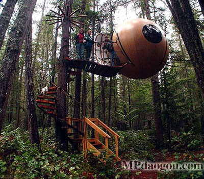 ������˼��(chu��ng)�����w�Ƅ�(d��ng)����