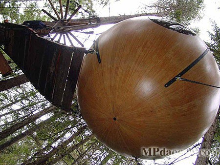 ������˼�������w�Ƅӷ���