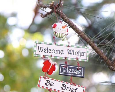 圣誕巧裝飾 營造家居圣誕風