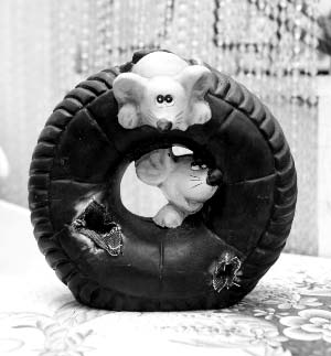 鼠年給家里添個(gè)“鼠來(lái)寶”