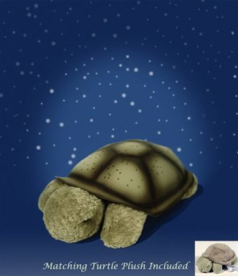 奇妙可愛(ài)的發(fā)光烏龜燈