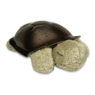 ����ɐ۵İl�������