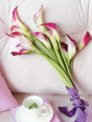 �Ҿ���Ʒ�b�c(di��n)���˹�(ji��)������