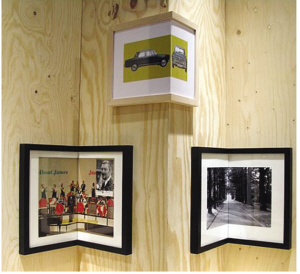 ���ԼҾ�Ʒ׌���������Ȥ