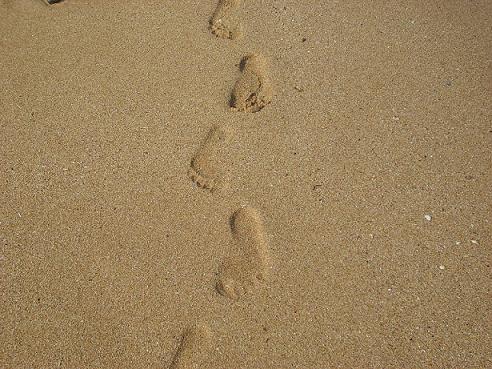 ʩ�����������΄��I�ɹ���