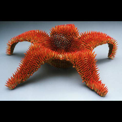 ����o�O���@�Ӹ�ֵĹP