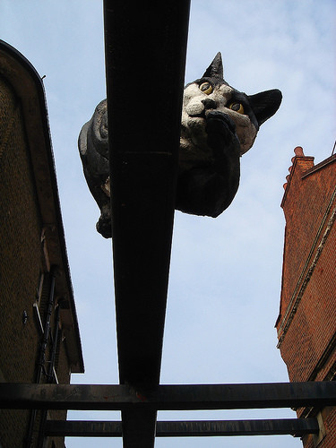 �廨���T(m��n)������b�