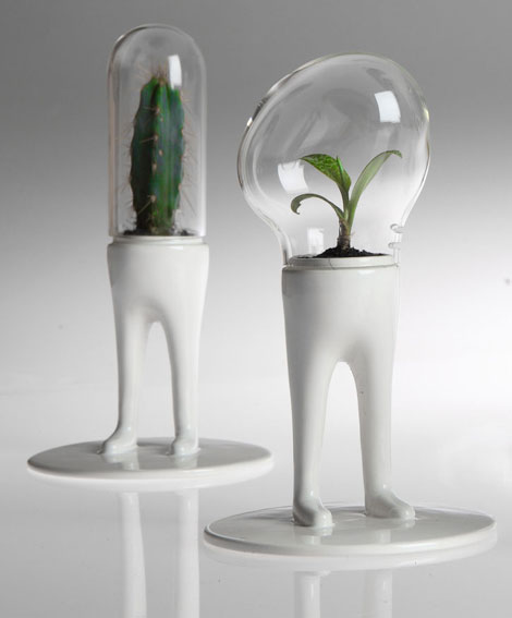 超級搞笑!穿褲子的盆栽