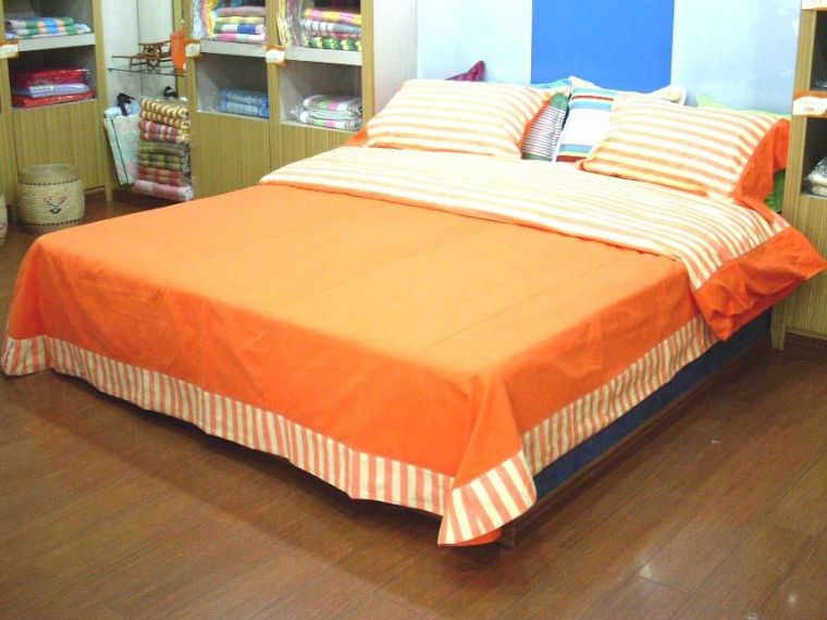 ��̫���u��չʾ