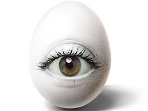 ���᣺�u����(chu��ng)����Ʒ���p