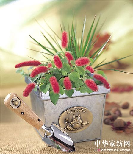 �m�����(d��ng)�����辰