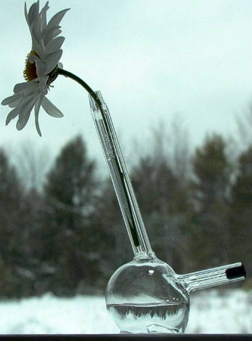 ���жU���L���Ψ����ƿ