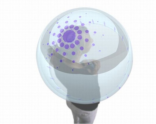 �o��Ǽ�֧�εĳ��ʽ���