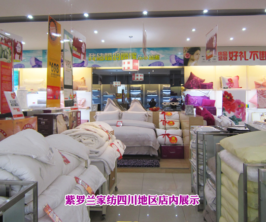 牽手紫羅蘭開創新人生