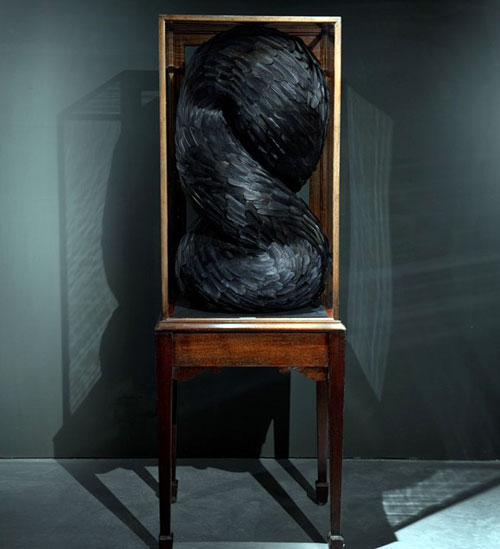 �������}����ϵ����ë����