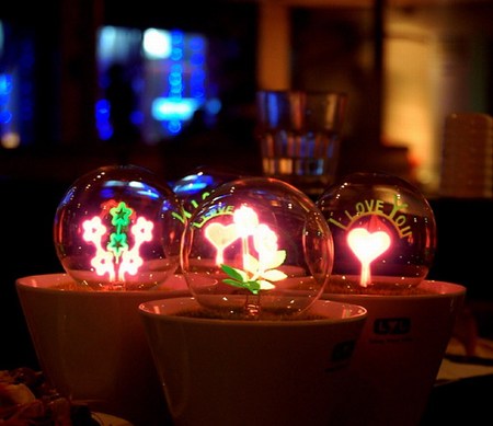 �����c�������� ����Сҹ��