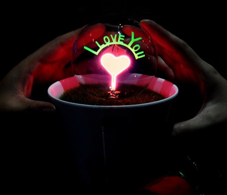 可以點亮的盆栽花火小夜燈