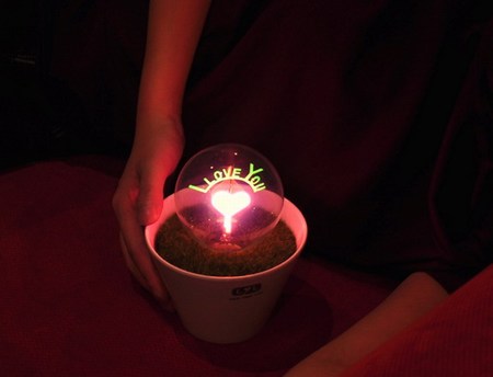 可以點亮的盆栽花火小夜燈