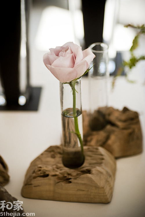 回歸自然樹木造型的裝飾花盆(一)