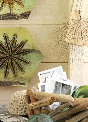 木色沉淀品位自然風味家飾