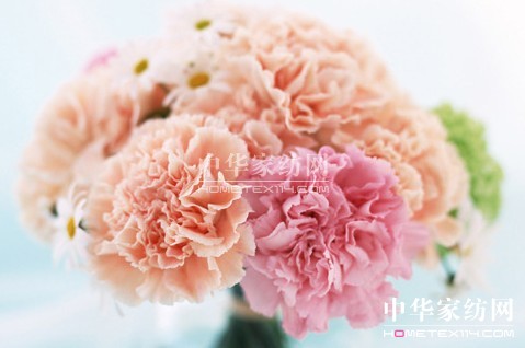 ĸ�H����׌�Ҽ����o������˯��