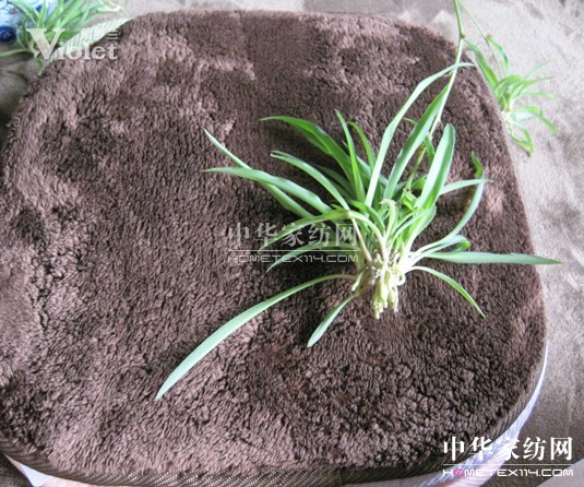 ���_�m���x��̺ ��O(sh��)���К��|(zh��)�Ƿ�