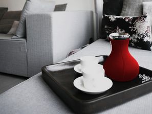 ����Eva Solo�Ĳ���½���