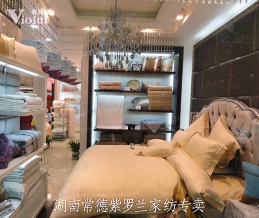 紫羅蘭品牌加盟商金君:有夢的心靈異彩紛呈