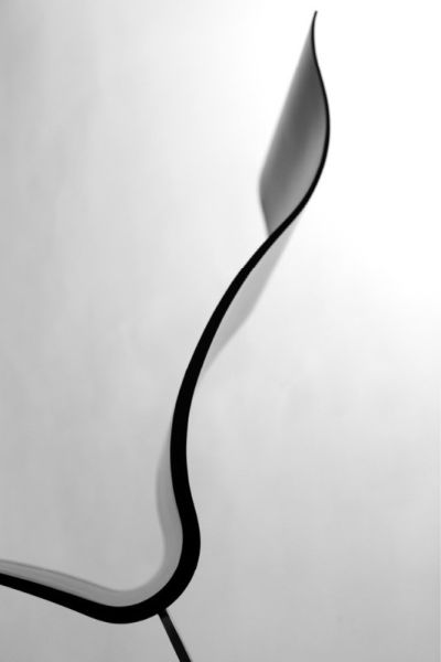 ErgonNomos:��ȶ��˵�̼�w�S��