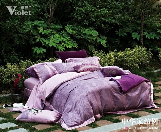 紫羅蘭祝愿天下有情人終成眷屬