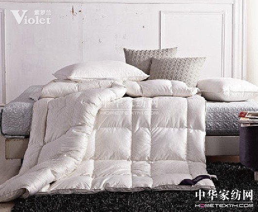 綻放在冬日夢中的紫羅蘭