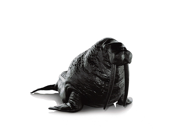 �A�����Ą�����