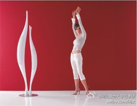 ���������ֹP�������