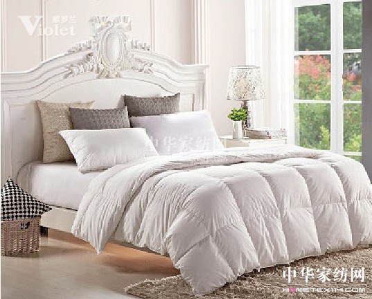 冬日呵護溫暖有愛紫羅蘭