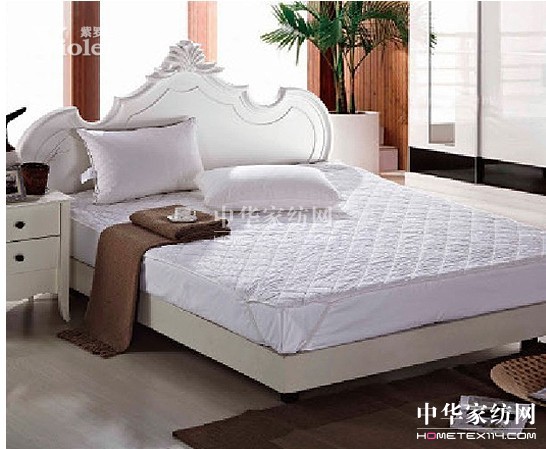 紫羅蘭情暖今冬