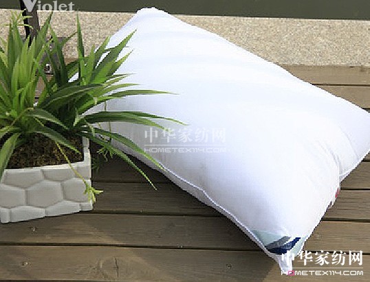 紫羅蘭冬夜里的解語花