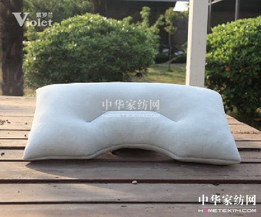 情定紫羅蘭相約在冬季