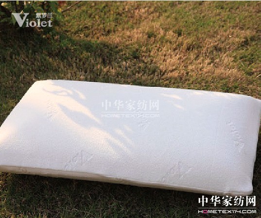 紫羅蘭,今冬因你而暖