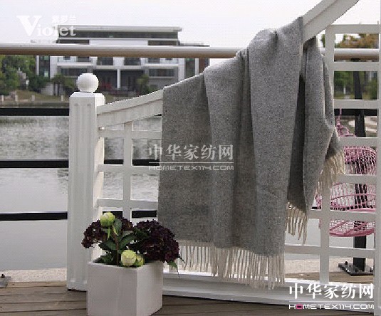 紫羅蘭送來冬日里的一縷暖陽