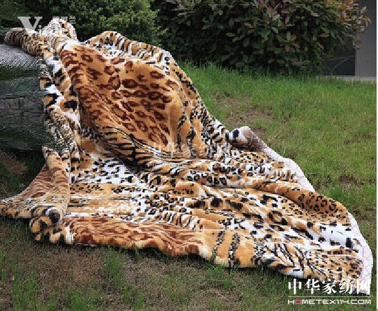 紫羅蘭給您帶來冬天里的春天