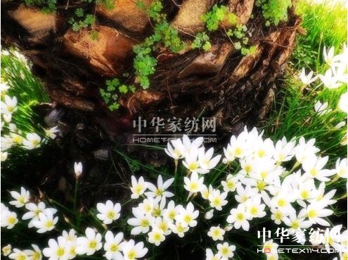 ���z�Ҽ����ƌW(xu��)���o(h��)�(q��)���F��