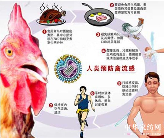 專家解讀預防指南及防護措施