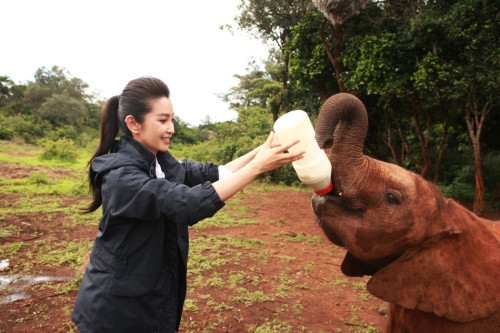 ���������"׃��"�����h�����J�B����